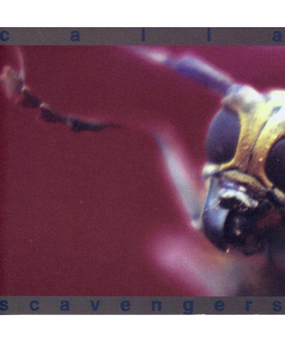 $5.85 Calla SCAVENGERS CD CD